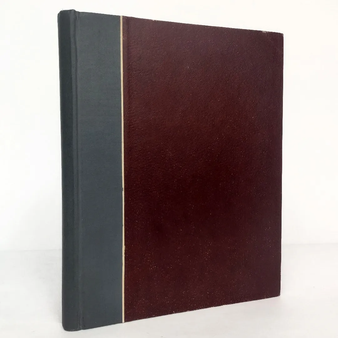 Конради В.Г. Книга о святом Франциске (1912)