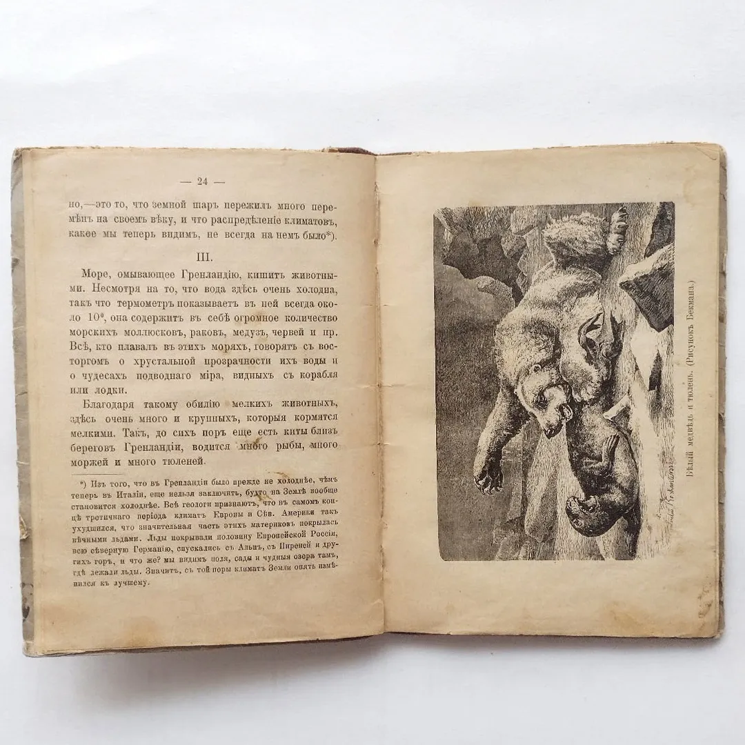 Сергей Меч. Гренландия (1902)