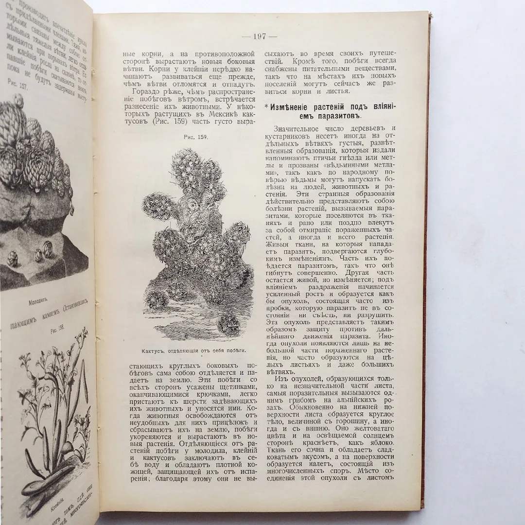 Хрестоматия по естествоведению (1915)