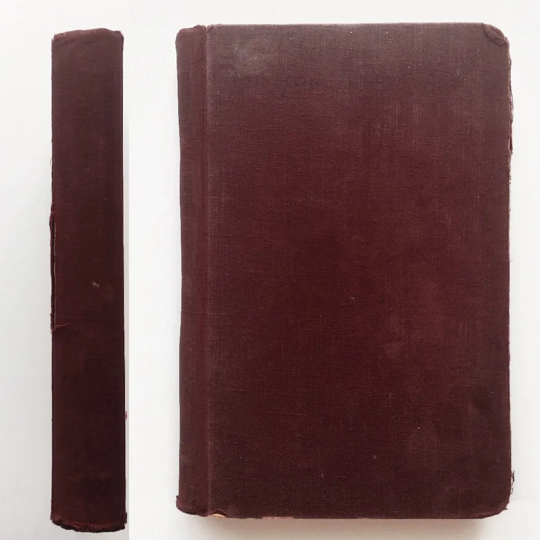 Пыляев. Старый Петербург. Рассказы из былой жизни столицы (1889)