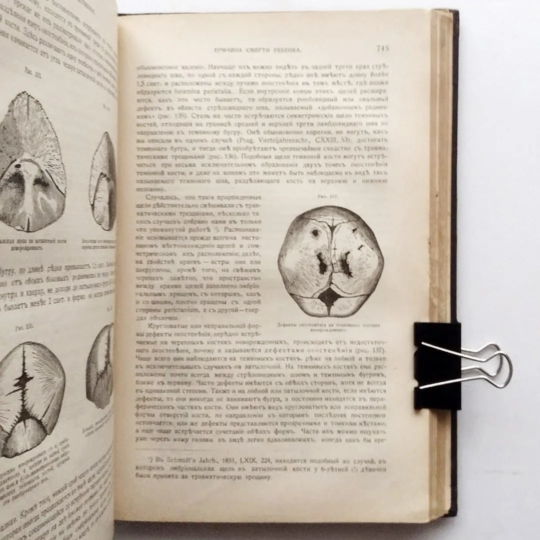 Учебник судебной медицины. Гофманн (1912)