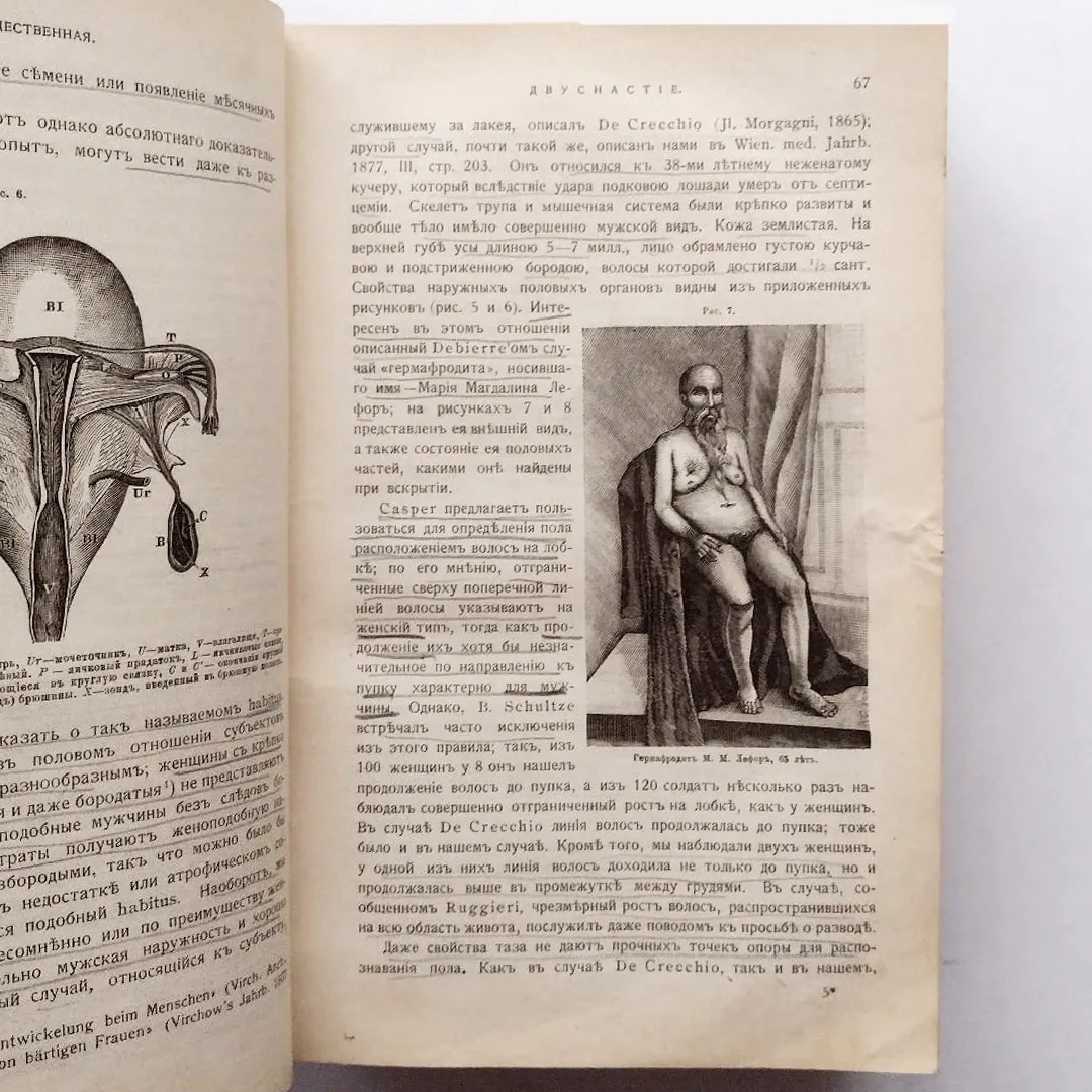 Учебник судебной медицины. Гофманн (1912)