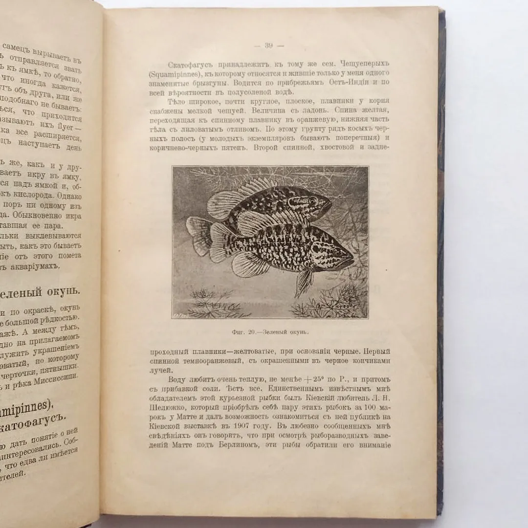 Золотницкий Н.Ф. Новые аквариумные рыбы и растения (1910)