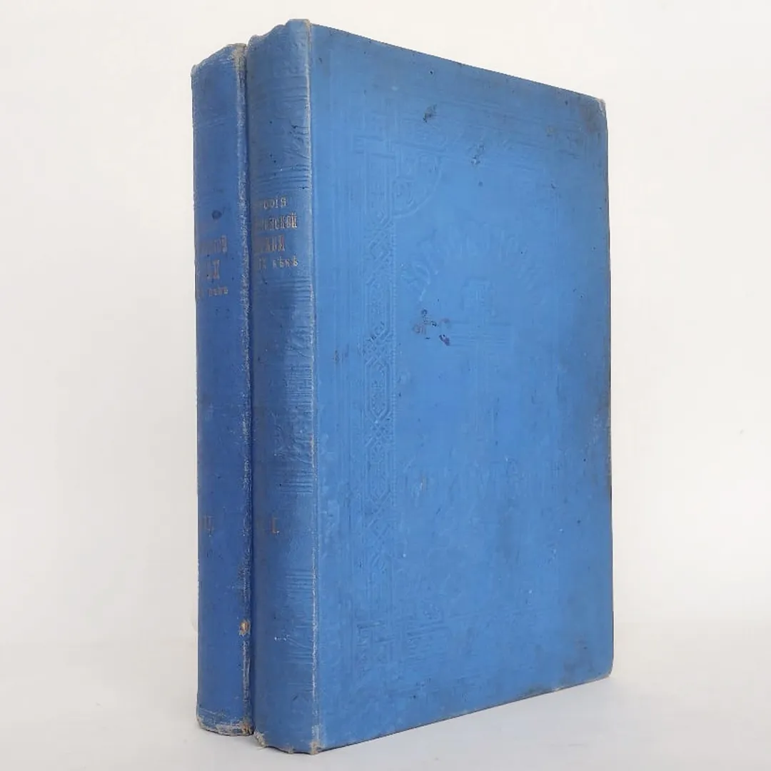 История христианской церкви в XIX веке: в 2 томах (1900)