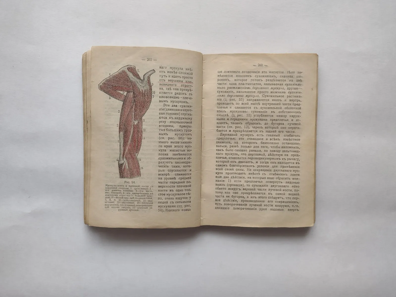 Атласы, научные энциклопедии, словари