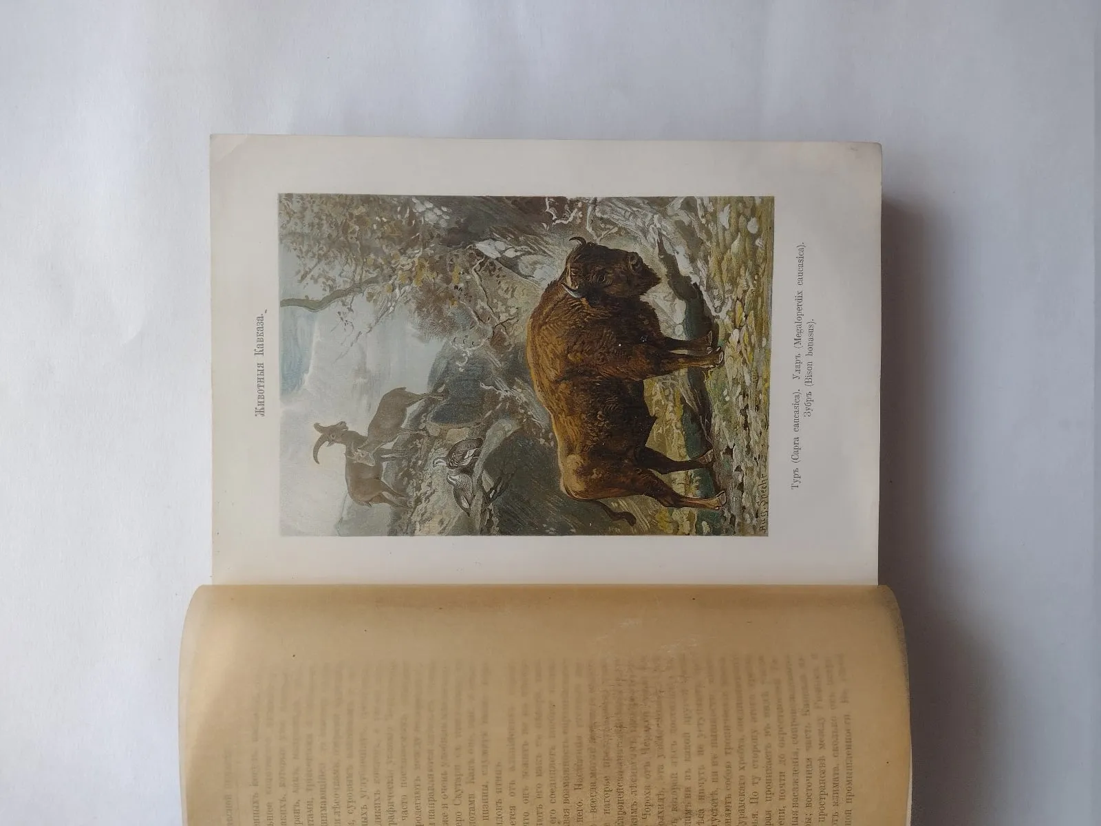 Путешествия и география