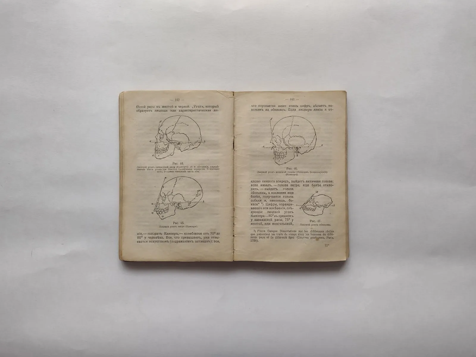 Естественные науки